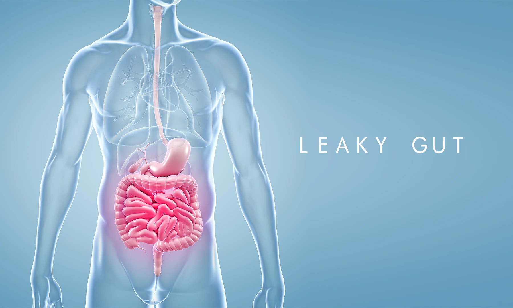 leaky gut Prominently featuring the words "Leaky Gut" on the right side, emphasizing its importance for overall health. An illustration of a human torso intricately highlights the digestive system,