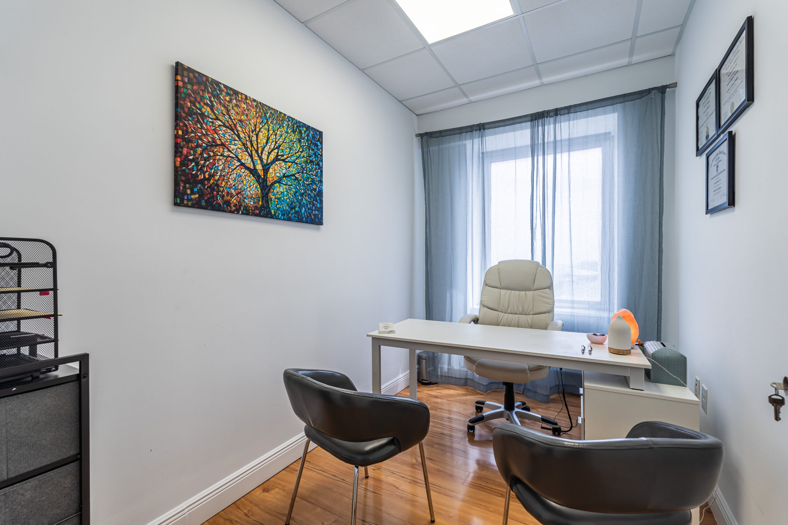 A clean office with a white desk, comfy chairs, tree wall art, certificates, and sunlight through sheer curtains for a calming vibe.